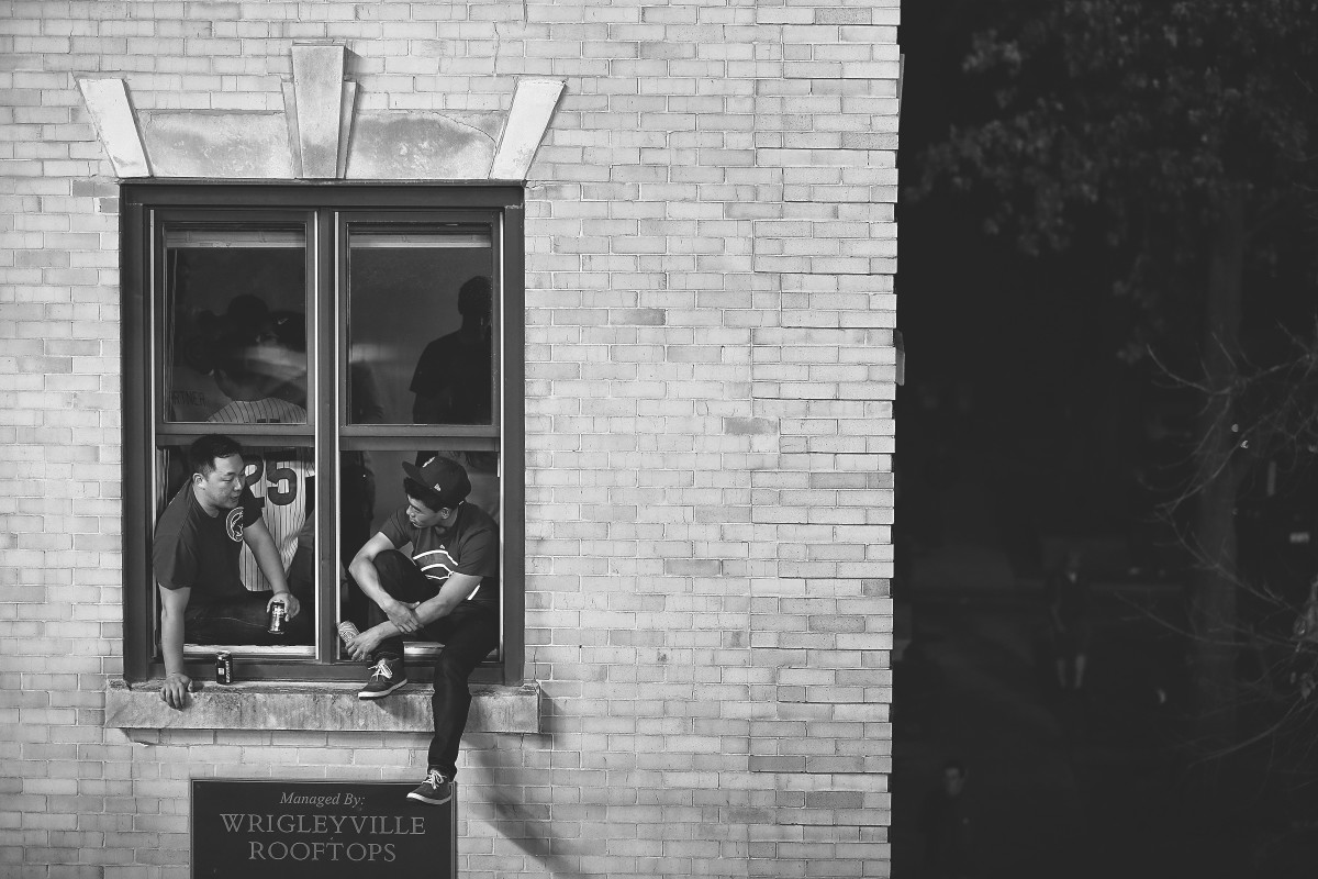 cubs-window
